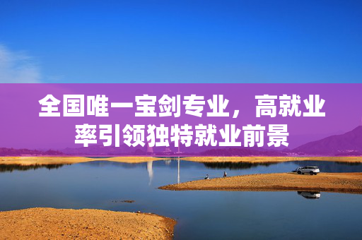 全国唯一宝剑专业，高就业率引领独特就业前景