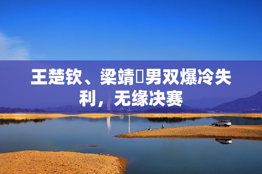 王楚钦、梁靖崑男双爆冷失利，无缘决赛