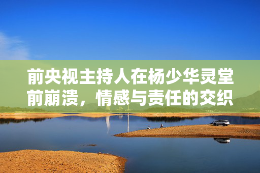前央视主持人在杨少华灵堂前崩溃，情感与责任的交织