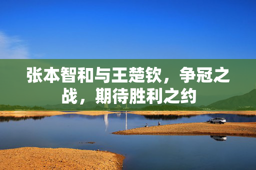 张本智和与王楚钦，争冠之战，期待胜利之约
