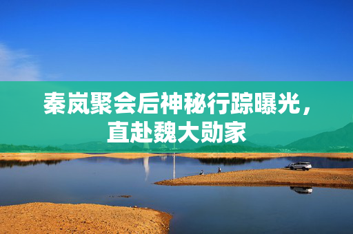 秦岚聚会后神秘行踪曝光，直赴魏大勋家