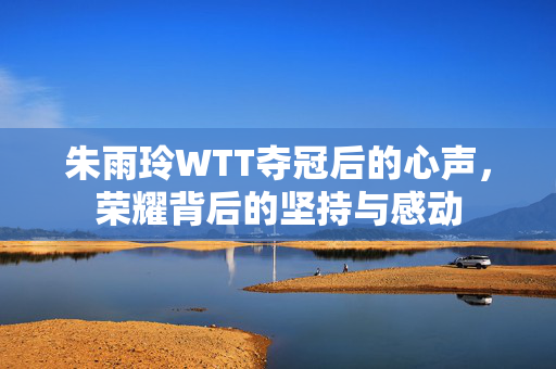 朱雨玲WTT夺冠后的心声，荣耀背后的坚持与感动