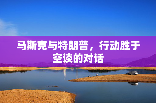 马斯克与特朗普，行动胜于空谈的对话