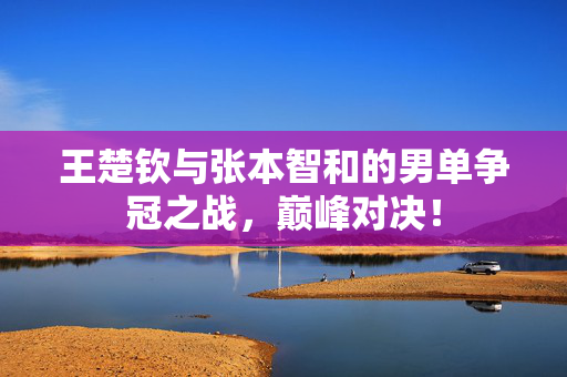 王楚钦与张本智和的男单争冠之战，巅峰对决！