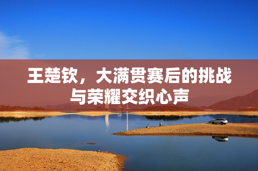 王楚钦，大满贯赛后的挑战与荣耀交织心声