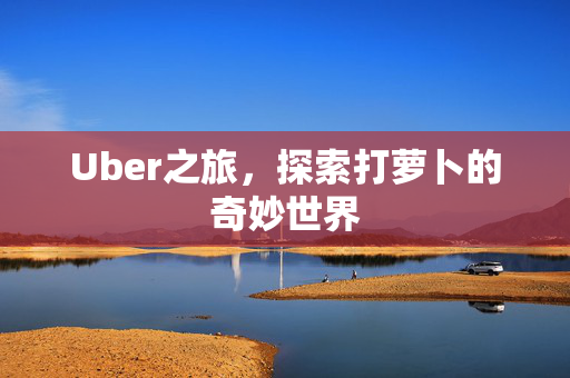 Uber之旅，探索打萝卜的奇妙世界