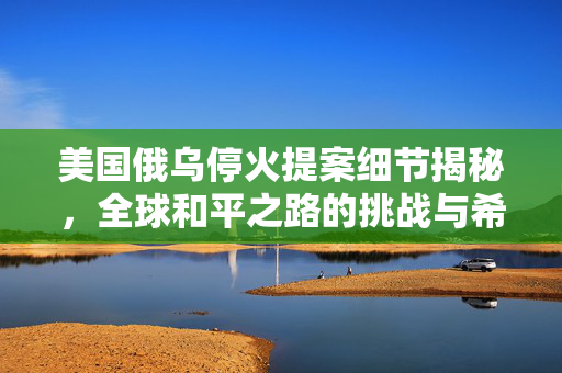 美国俄乌停火提案细节揭秘，全球和平之路的挑战与希望