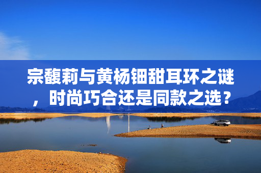 宗馥莉与黄杨钿甜耳环之谜，时尚巧合还是同款之选？