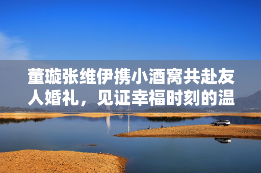 董璇张维伊携小酒窝共赴友人婚礼，见证幸福时刻的温馨之旅
