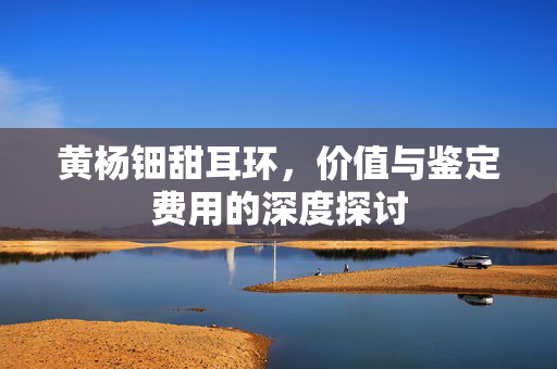 黄杨钿甜耳环，价值与鉴定费用的深度探讨