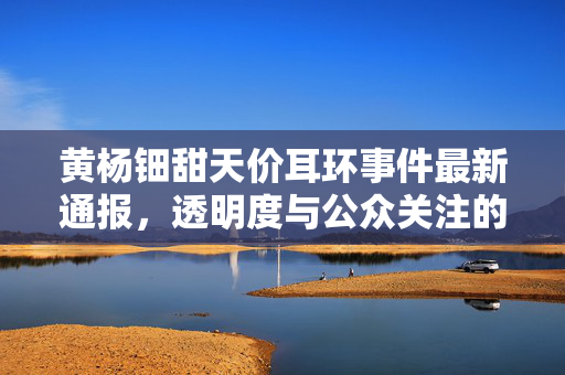 黄杨钿甜天价耳环事件最新通报，透明度与公众关注的双向探讨