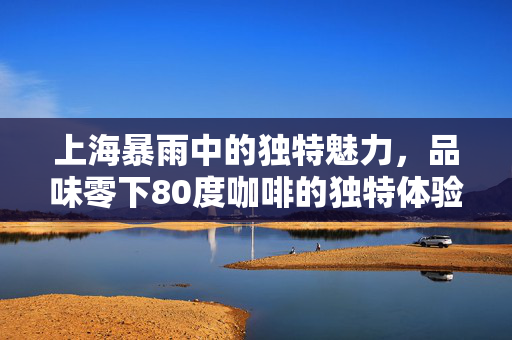 上海暴雨中的独特魅力，品味零下80度咖啡的独特体验