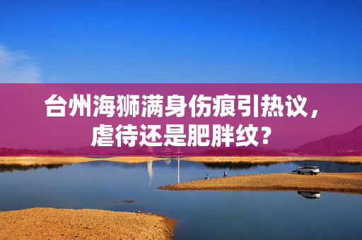 台州海狮满身伤痕引热议，虐待还是肥胖纹？