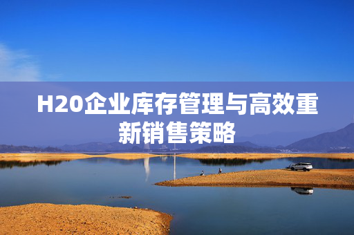 H20企业库存管理与高效重新销售策略