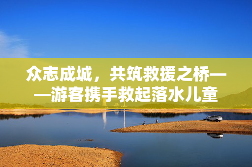 众志成城，共筑救援之桥——游客携手救起落水儿童
