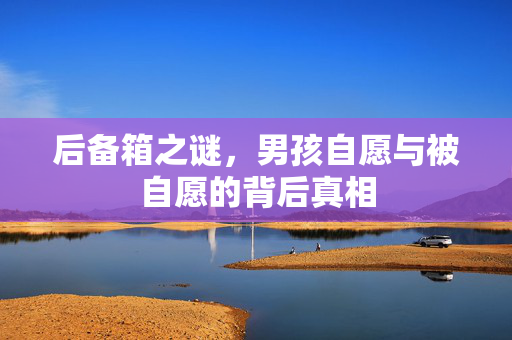 后备箱之谜，男孩自愿与被自愿的背后真相