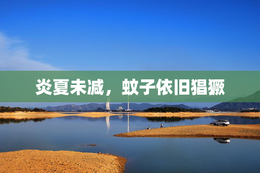炎夏未减，蚊子依旧猖獗