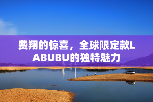 费翔的惊喜，全球限定款LABUBU的独特魅力