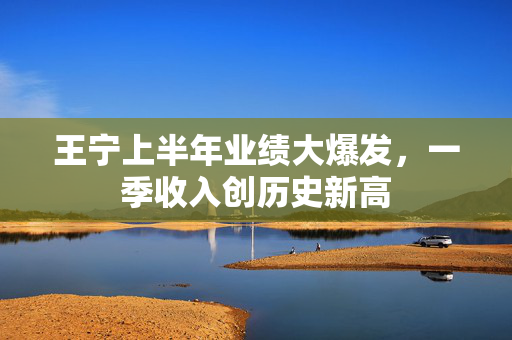 王宁上半年业绩大爆发，一季收入创历史新高