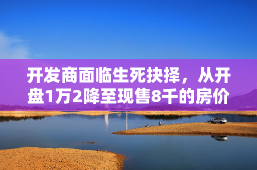 开发商面临生死抉择，从开盘1万2降至现售8千的房价困境