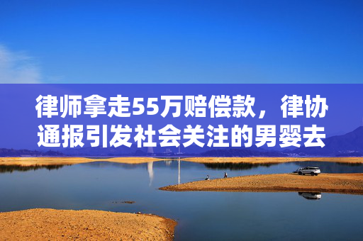 律师拿走55万赔偿款，律协通报引发社会关注的男婴去世事件