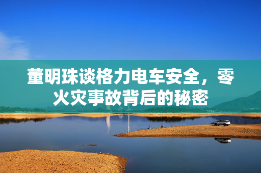 董明珠谈格力电车安全，零火灾事故背后的秘密