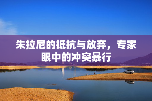 朱拉尼的抵抗与放弃，专家眼中的冲突暴行