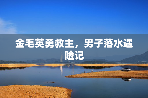 金毛英勇救主，男子落水遇险记