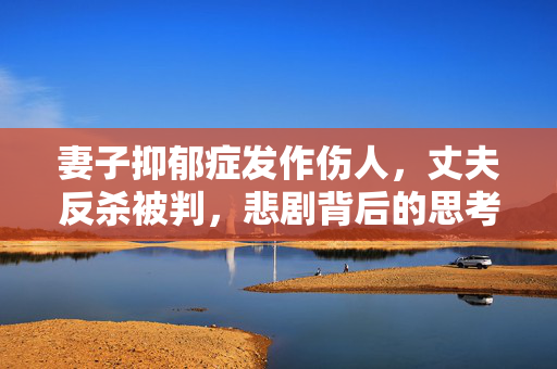 妻子抑郁症发作伤人，丈夫反杀被判，悲剧背后的思考