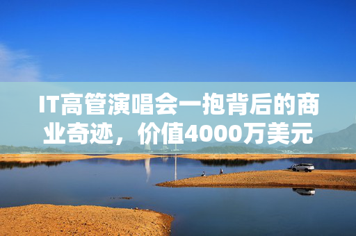 IT高管演唱会一抱背后的商业奇迹，价值4000万美元的潜力和影响