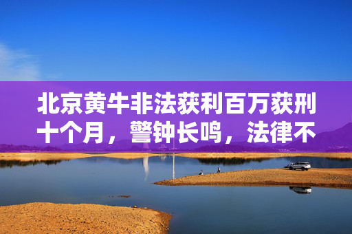 北京黄牛非法获利百万获刑十个月，警钟长鸣，法律不容侵犯