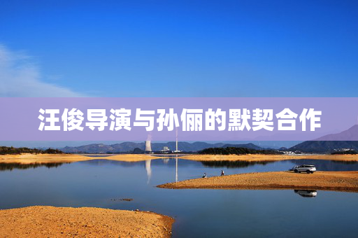 汪俊导演与孙俪的默契合作