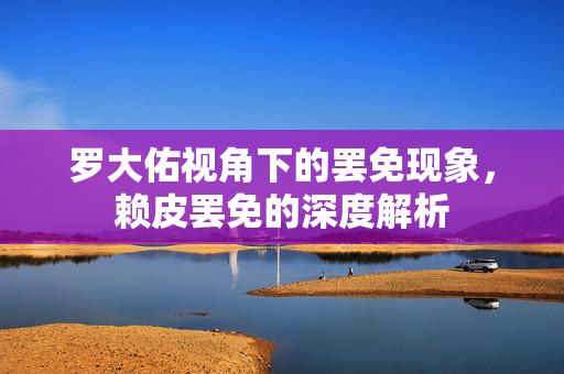 罗大佑视角下的罢免现象，赖皮罢免的深度解析