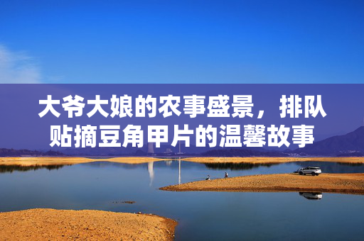 大爷大娘的农事盛景，排队贴摘豆角甲片的温馨故事