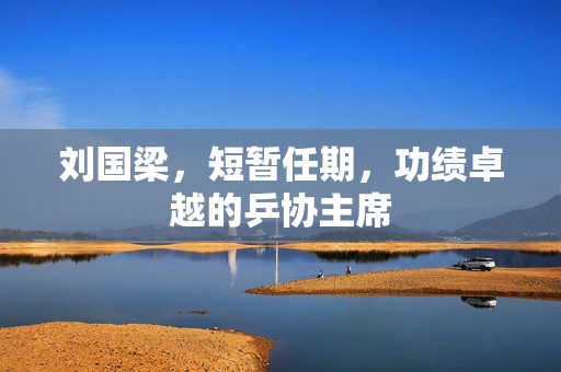 刘国梁，短暂任期，功绩卓越的乒协主席