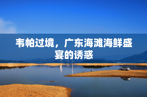 韦帕过境，广东海滩海鲜盛宴的诱惑