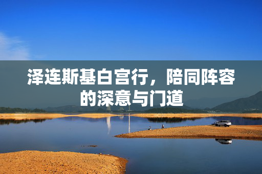泽连斯基白宫行，陪同阵容的深意与门道