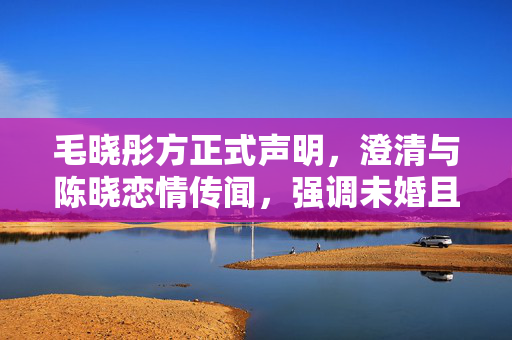 毛晓彤方正式声明，澄清与陈晓恋情传闻，强调未婚且单身状态