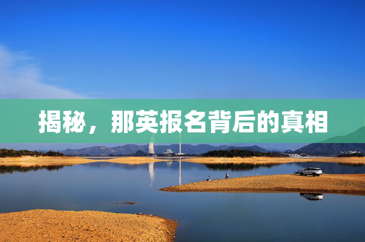 揭秘，那英报名背后的真相