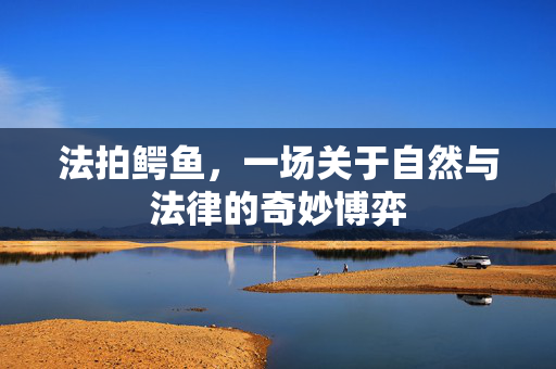 法拍鳄鱼，一场关于自然与法律的奇妙博弈