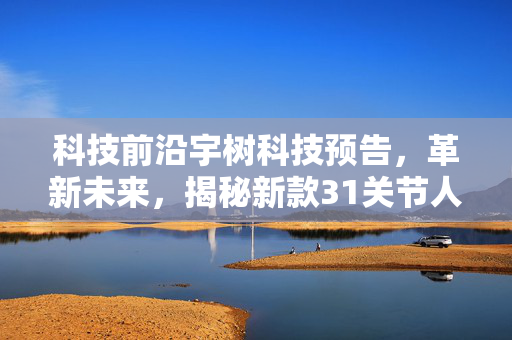 科技前沿宇树科技预告，革新未来，揭秘新款31关节人形机器人——智能行走的新纪元