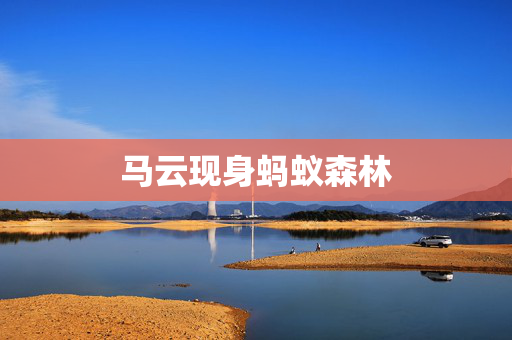 马云现身蚂蚁森林