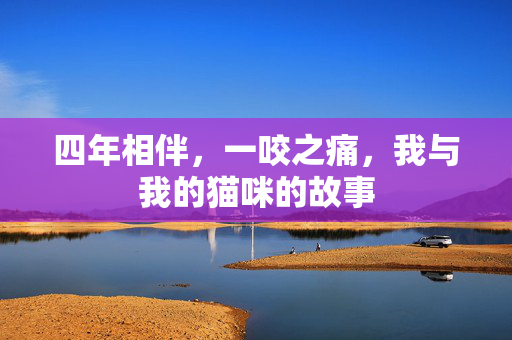 四年相伴，一咬之痛，我与我的猫咪的故事