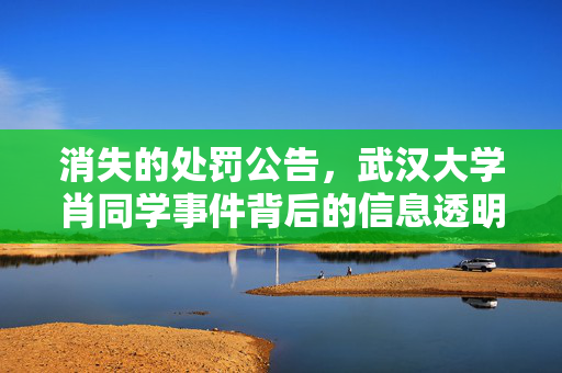 消失的处罚公告，武汉大学肖同学事件背后的信息透明之问
