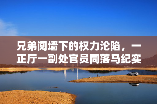 兄弟阋墙下的权力沦陷，一正厅一副处官员同落马纪实