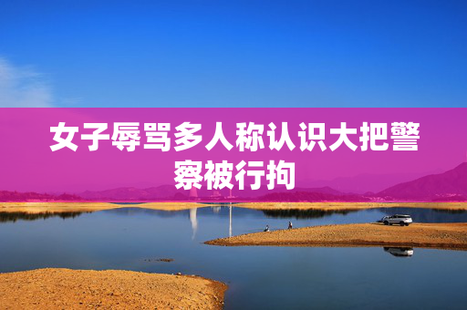女子辱骂多人称认识大把警察被行拘
