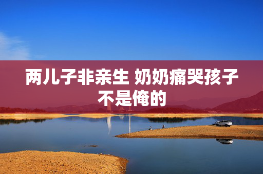 两儿子非亲生 奶奶痛哭孩子不是俺的