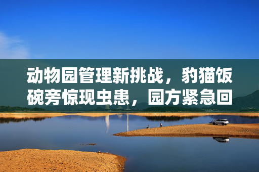 动物园管理新挑战，豹猫饭碗旁惊现虫患，园方紧急回应与整改措施