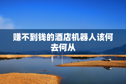 赚不到钱的酒店机器人该何去何从