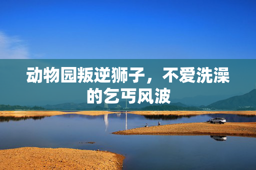动物园叛逆狮子，不爱洗澡的乞丐风波